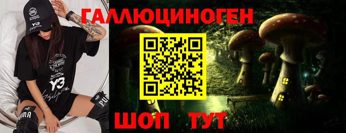 Вязники  Галлюциногенные грибы прущие грибы  Вход с VPN 